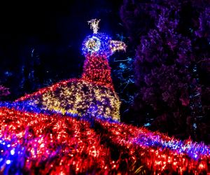 Christmas Garden - Insel Mainau