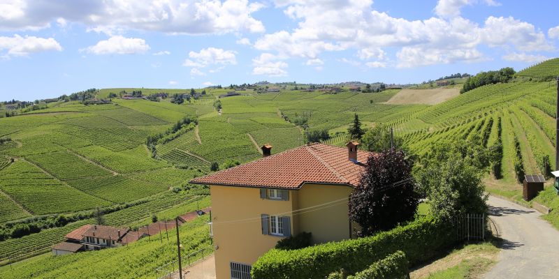 Piemont Weinlandschaft