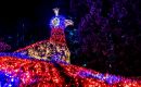 Christmas Garden - Insel Mainau